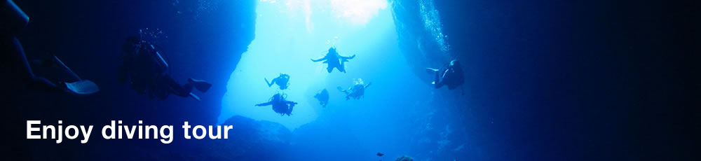 Enjoy diving tour