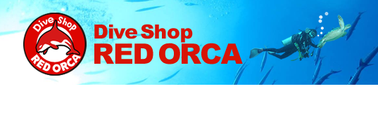 Dive Shop RED ORCA 本当にダイビングを楽しみたい方のダイビングショプです。